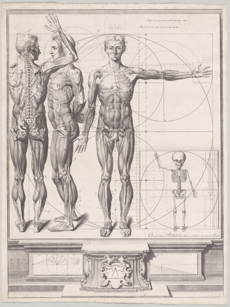 Theater of the Body: A Renaissance of Human Anatomy | University of St